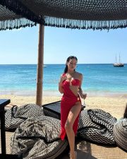 Provocative Actress Radhika Chandhok in a Two Piece Red Bikini Photos 01