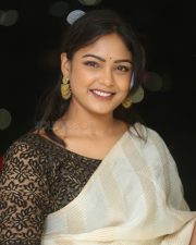 Actress Lavannya Sahukara at Valentines Night Movie Press Meet Photos 01