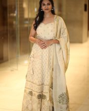 Actress Mounika Reddy at Dhandoraa Pre Release Event Photos 01