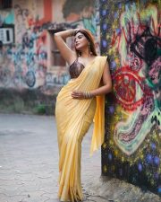 Attractive Mrinmai Kolwalkar in a Yellow Saree with a Sleeveless Blouse Photos 03