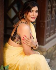 Attractive Mrinmai Kolwalkar in a Yellow Saree with a Sleeveless Blouse Photos 04