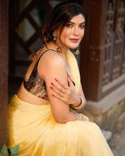 Attractive Mrinmai Kolwalkar in a Yellow Saree with a Sleeveless Blouse Photos 04