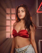 Fashionable Niyati Fatnani in a Red Satin Crop Top with High Waisted Denim Jeans Photos 05
