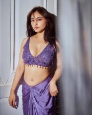 Indian Television Actress Niyati Fatnani Navel in a Purple Saree with an Embroidered Blouse Pictures 01