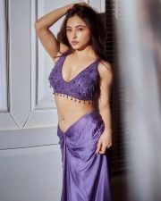 Indian Television Actress Niyati Fatnani Navel in a Purple Saree with an Embroidered Blouse Pictures 02