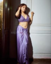 Indian Television Actress Niyati Fatnani Navel in a Purple Saree with an Embroidered Blouse Pictures 03