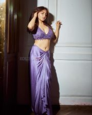 Indian Television Actress Niyati Fatnani Navel in a Purple Saree with an Embroidered Blouse Pictures 03