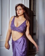 Indian Television Actress Niyati Fatnani Navel in a Purple Saree with an Embroidered Blouse Pictures 05