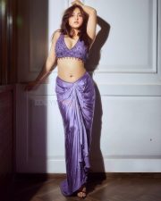 Indian Television Actress Niyati Fatnani Navel in a Purple Saree with an Embroidered Blouse Pictures 09