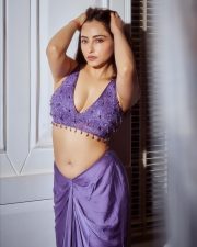 Indian Television Actress Niyati Fatnani Navel in a Purple Saree with an Embroidered Blouse Pictures 10