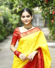Malayalam Actress Anaswara Rajan in a Traditional Silk Saree Photos 01