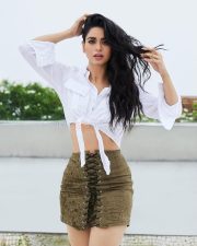 Stylish Soundarya Sharma Sexy Pictures 04