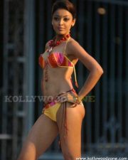 Tanushree Dutta Sexy Pics 04