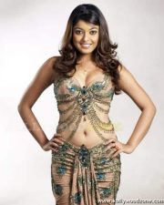 Tanushree Dutta Sexy Pics 11 Tanushree Dutta Sexy Pics 11