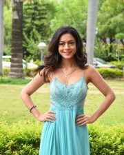 Actress Anya Singh At Ninu Veedani Needanu Nene Press Meet Pictures 10