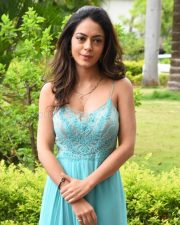 Actress Anya Singh At Ninu Veedani Needanu Nene Press Meet Pictures 13