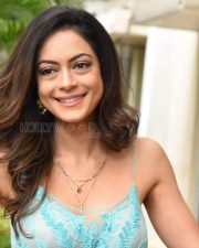 Actress Anya Singh At Ninu Veedani Needanu Nene Press Meet Pictures 18