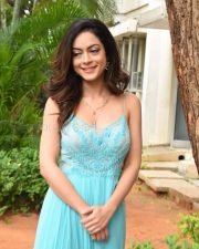 Actress Anya Singh At Ninu Veedani Needanu Nene Press Meet Pictures 20