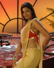 Actress Chaya Singh Sexy Pictures 01