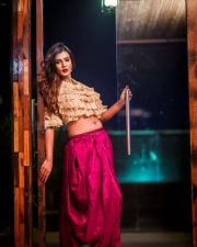 Actress Meera Mithun Hot Photoshoot Pictures 05