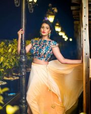 Actress Meera Mithun Hot Photoshoot Pictures 08