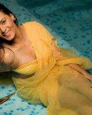 Actress Meera Mithun Hot Photoshoot Pictures 10