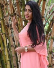 Actress Monica Chinnakotla At Jiivi Success Meet Photos 13