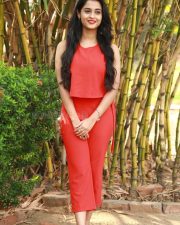 Arthana Binu At Sema Movie Press Meet Photos 02