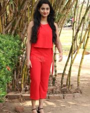 Arthana Binu At Sema Movie Press Meet Photos 07