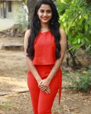 Arthana Binu At Sema Movie Press Meet Photos 13