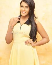 Miss India South 2016 Meera Mithun Pictures 03