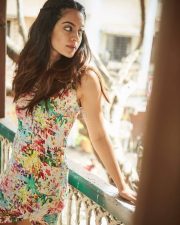 Ninu Veedani Needanu Nene Fame Anya Singh Stills 02