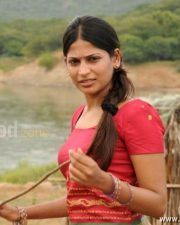 Vanayutham Heroine Vijayalakshmi Stills 02 Vanayutham Heroine Vijayalakshmi Stills 02