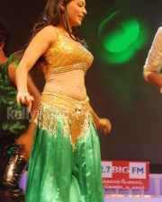 Vijayalakshmi Dance Photos 03
