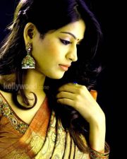 Vijayalaxmi Sexy Homely Pictures 02