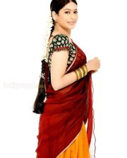 Vijayalaxmi Sexy Homely Pictures 06