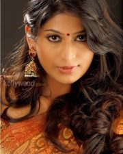 Vijayalaxmi Sexy Homely Pictures 07