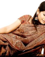 Vijayalaxmi Sexy Homely Pictures 08