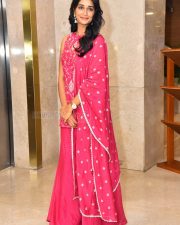 Actress Sandhya Vasishta at Sri Chidambaram Garu Pre Release Event Photos 01