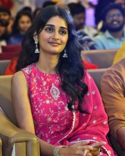 Actress Sandhya Vasishta at Sri Chidambaram Garu Pre Release Event Photos 13