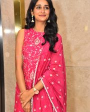 Actress Sandhya Vasishta at Sri Chidambaram Garu Pre Release Event Photos 18