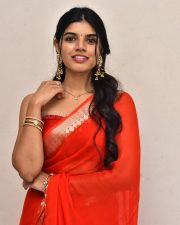 Heroine Gayatri Ramana at Mansion House Mallesh Press Meet Photos 48