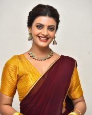 Actress Meera Raaj at Son Of Movie Pre Release Event Pictures 01