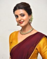 Actress Meera Raaj at Son Of Movie Pre Release Event Pictures 03