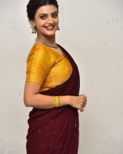 Actress Meera Raaj at Son Of Movie Pre Release Event Pictures 11