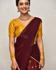 Actress Meera Raaj at Son Of Movie Pre Release Event Pictures 12