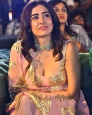 Actress Zayn Marie Khan at Dacoit Movie Pre Release Event Pictures 20