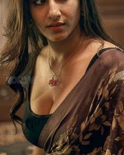 Hypnotic Vishnupriya Bhimeneni Cleavage in a Brown Floral Sheer Saree Photos 03