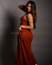 Glamorous Actress Sahar Krishnan in a red one shoulder dress Photos 18