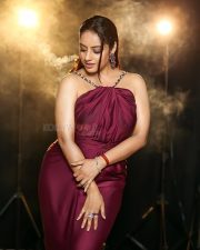 Glamorous Actress Deepika Singh Goyal in a Plum Halter Satin Gown Photos 01